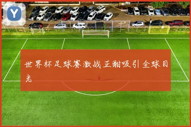 世界杯足球赛激战正酣吸引全球目光