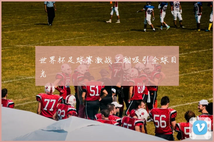 世界杯足球赛激战正酣吸引全球目光