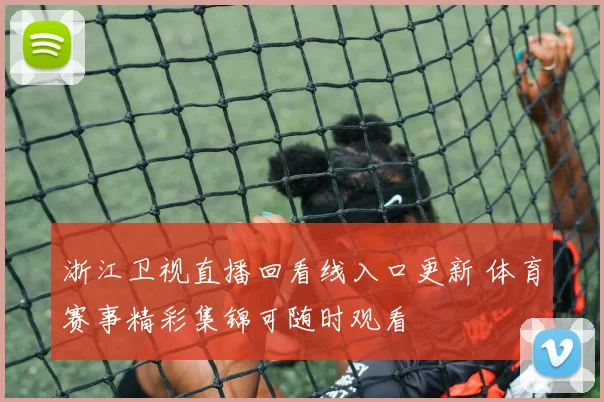 浙江卫视直播回看线入口更新 体育赛事精彩集锦可随时观看