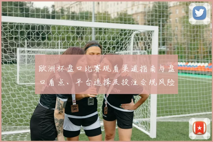 欧洲杯盘口比赛观看渠道指南与盘口看点、平台选择及投注合规风险控制