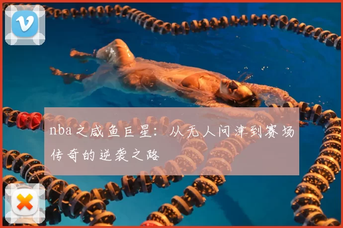 nba之咸鱼巨星：从无人问津到赛场传奇的逆袭之路