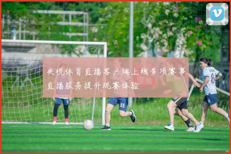 央视体育直播客户端上线多项赛事直播服务提升观赛体验