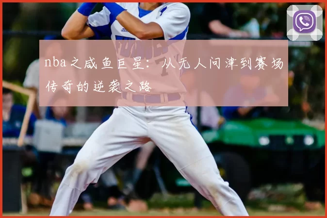 nba之咸鱼巨星：从无人问津到赛场传奇的逆袭之路