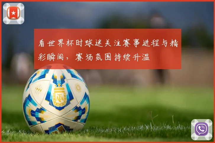 看世界杯时球迷关注赛事进程与精彩瞬间，赛场氛围持续升温