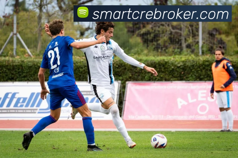 未来规划